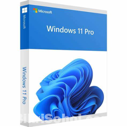 Windows 10/11 pro activation key